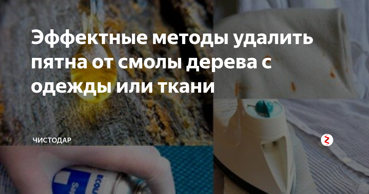 Чем оттереть смолу от сосны: Чем отмыть смолу сосны?
