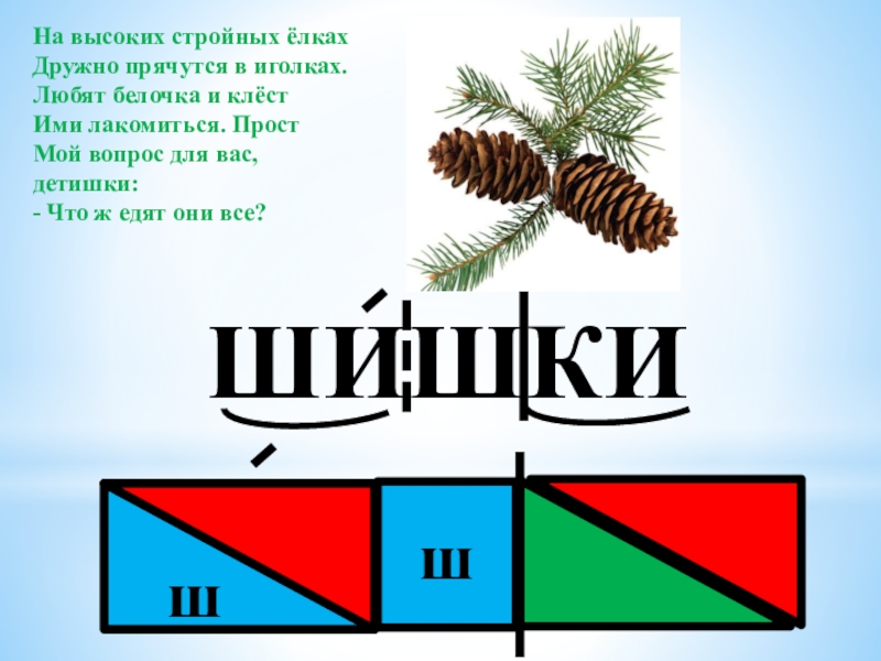 Нужна буква ш: Знак "Шипы": клеить или не клеить?