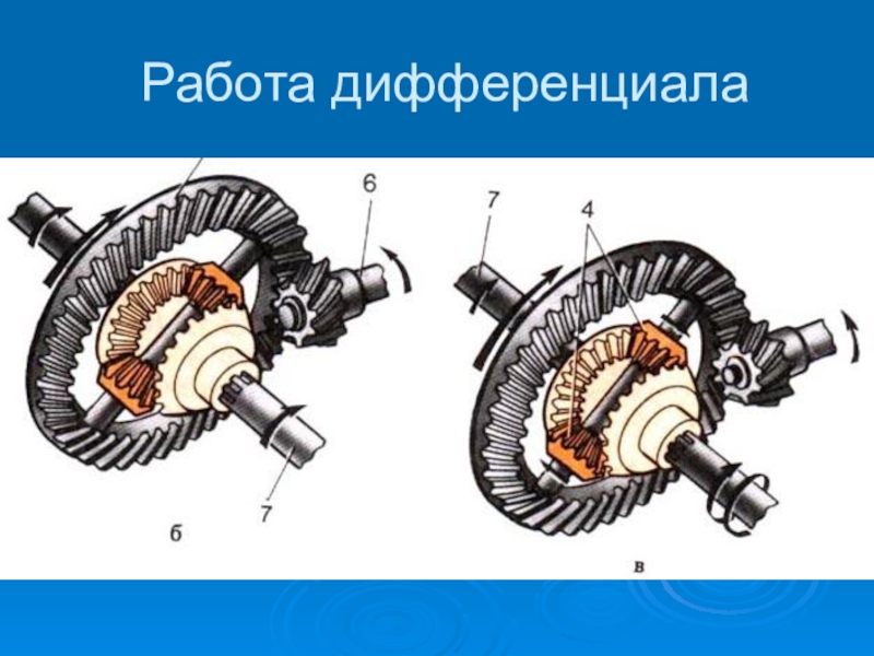 Устройство дифференциала автомобиля: устройство, виды и принцип работы