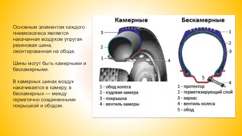 Что лучше камерная или бескамерная шина: Как определить камерная или бескамерная шина?
