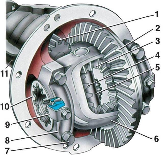 Дифференциал в машине что это такое: что это, значение, принцип работы
