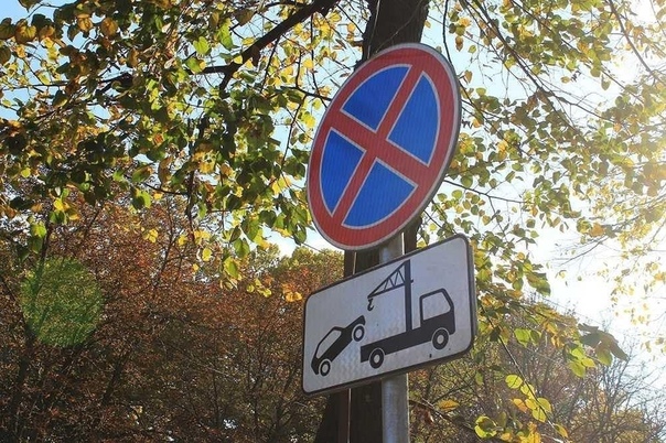 Знак стоянка запрещена фото: Дорожный знак 3.27 "Остановка запрещена"