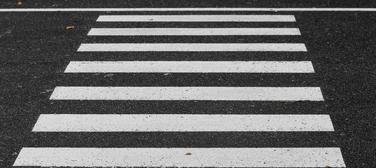 Зебра пешеходная: Почему пешеходный переход называют зеброй? | Пробки/дороги | Авто