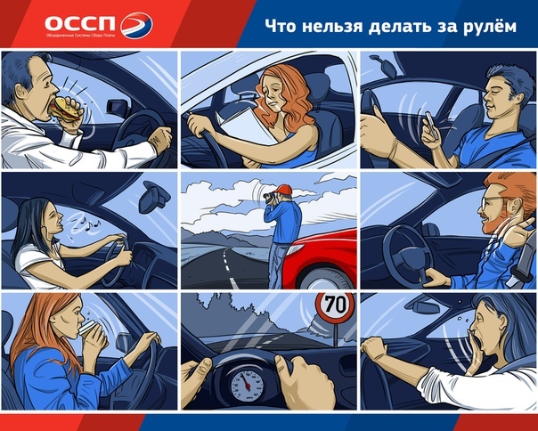 Чтобы не спать за рулем: Что делают немцы, чтобы не уснуть за рулем | Культура и стиль жизни в Германии и Европе | DW