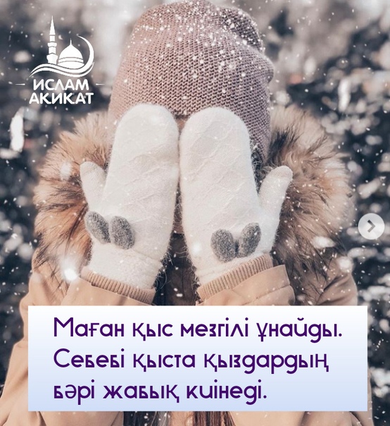 Зимними: В чем разница между зимними и летними дворниками?
