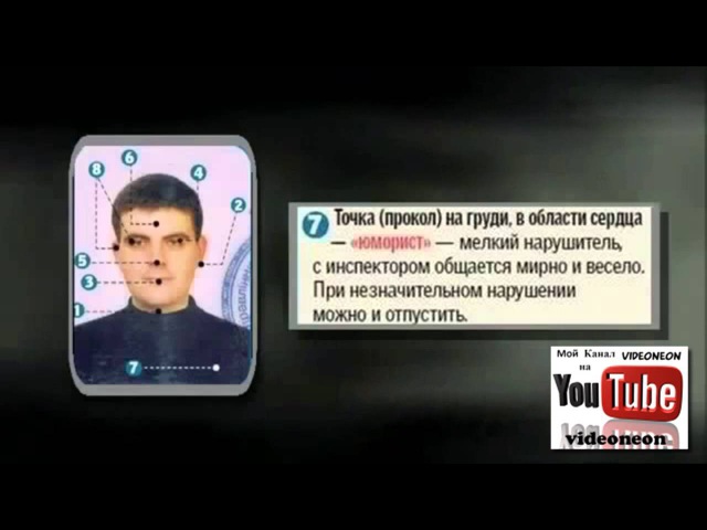 Метки на правах: Что означают неофициальные метки на водительских правах
