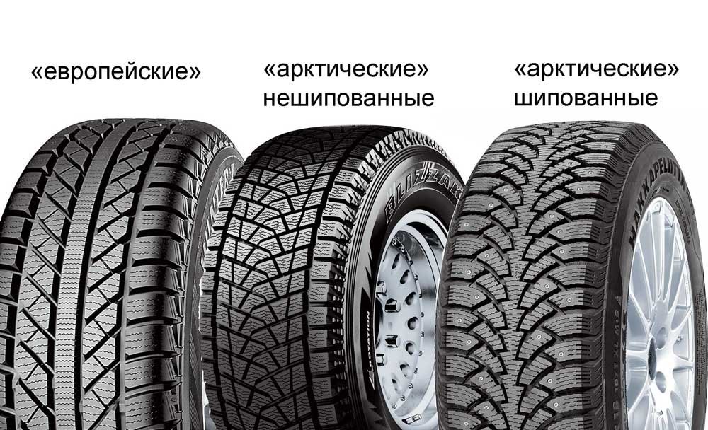 Какие зимние шины лучше шипованные или липучка: что выбрать? Основные критерии выбора зимней и шипованной резины для автомобиля