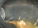 Удалить воду из бензобака: Как удалить воду из бензобака быстро и безопасно