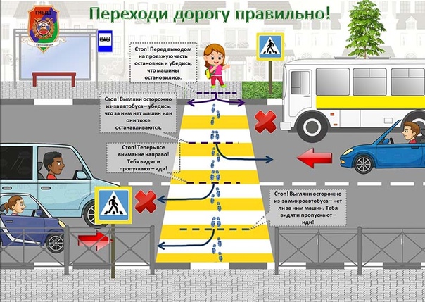 Правила перехода пешеходного перехода для пешехода: Соблюдение правил на пешеходных переходах и перекрестках