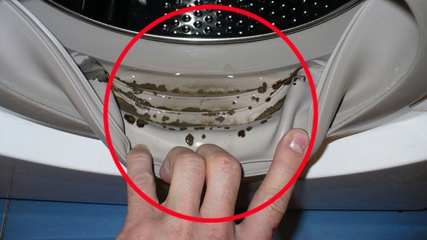 Муравьи в стиральной машине что делать: Помогите избавиться от мелких рыжих муравьев.