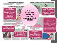 Первая доврачебная помощь при дтп: Первая помощь при ДТП