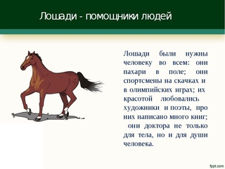 Что значит лошадиная сила в машине: Что такое лошадиная сила в автомобиле и сколько их всего?