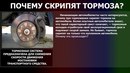 Почему скрипят колодки: Почему скрипят тормоза: 5 основных причин