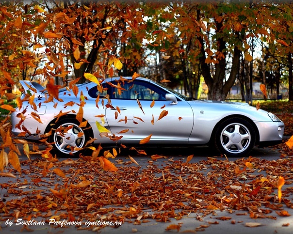 Сколько прогревать машину осенью: Сколько нужно прогревать машину осенью