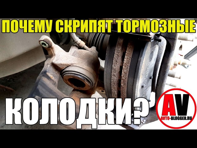 Почему скрипят колодки: Почему скрипят тормоза: 5 основных причин