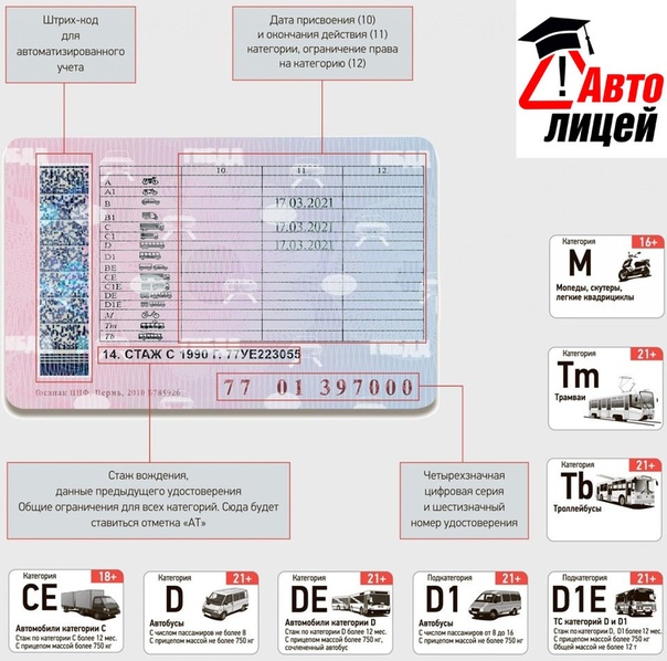 Что означает категория в1 в правах нового образца