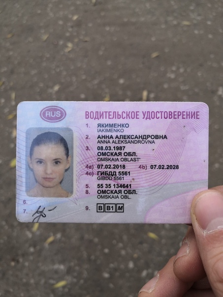 Метки на правах: Что означают неофициальные метки на водительских правах