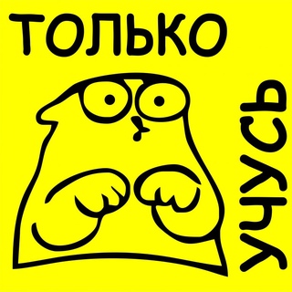 Знак новичка: Нужен ли знак «начинающий водитель» в 2021 году?