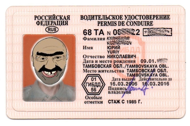 Метки на правах: Что означают неофициальные метки на водительских правах