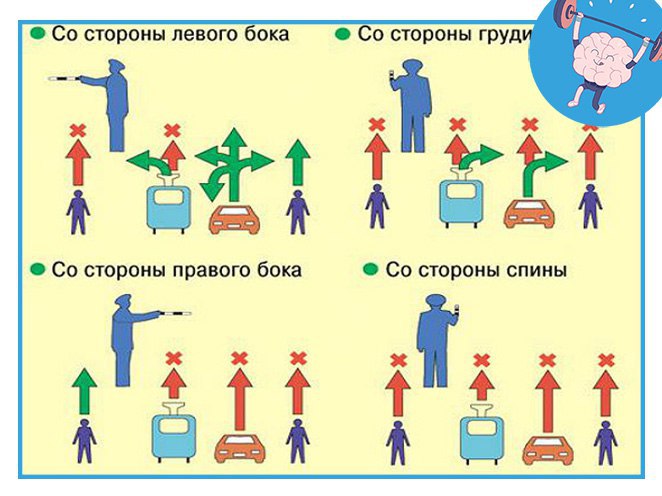 Действия регулировщика на перекрестке: Сигналы регулировщика с пояснениями