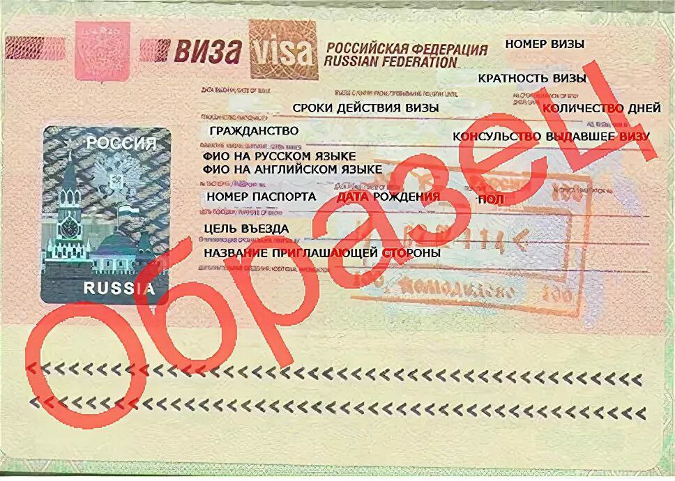 В латвию на машине документы: Что следует иметь в виду, отправляясь за границу на машине