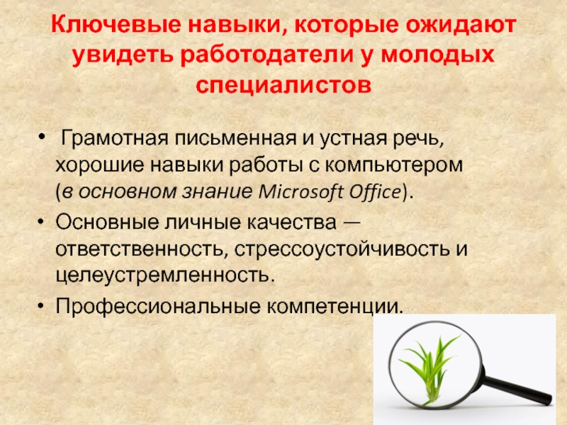 Ключевые навыки водителя: Образец резюме на работу водителем, скачайте пример грамотного резюме 2021