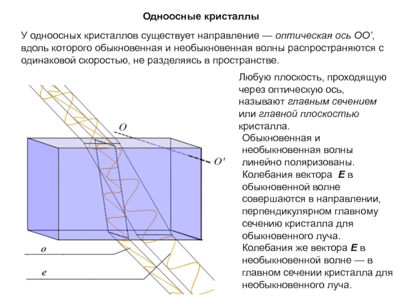 Одноосные: ОДНООСНЫЕ - это... Что такое ОДНООСНЫЕ?