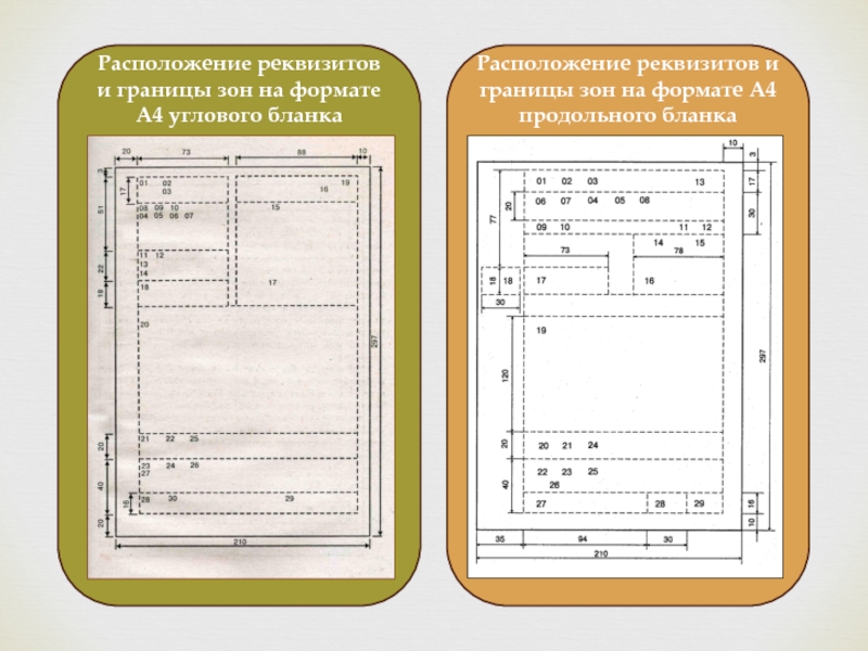 Продольное расположение: Поперечное и продольное расположение двигателя — преимущества и недостатки