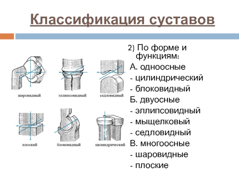 Одноосные: ОДНООСНЫЕ - это... Что такое ОДНООСНЫЕ?