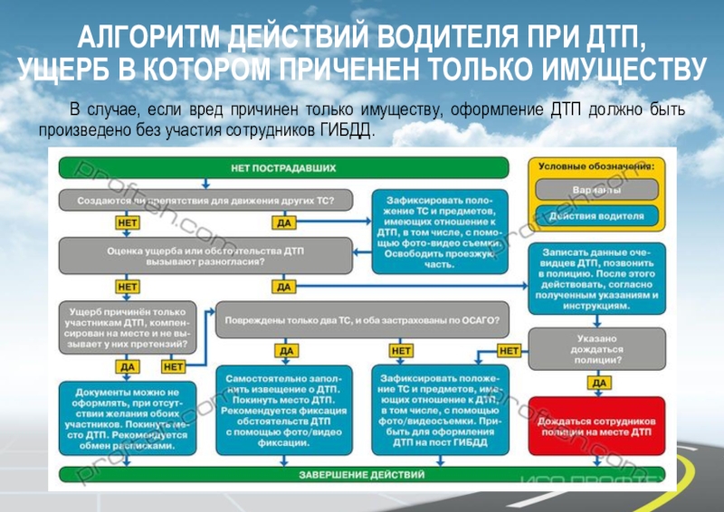 Виды травм при дтп: Травмы в ДТП - лечение последствий и осложнений с помощью остеопатии