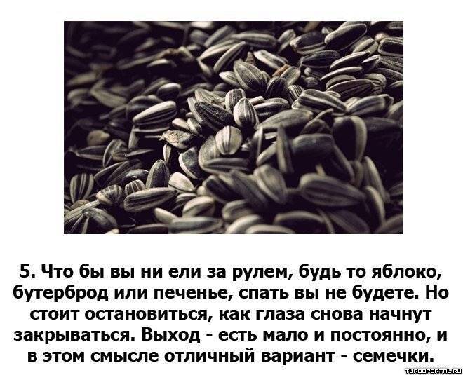 Что делать чтобы не уснуть за рулем: что делать, пить и кушать чтобы не уснуть за рулем? Полезные советы и лайфхаки