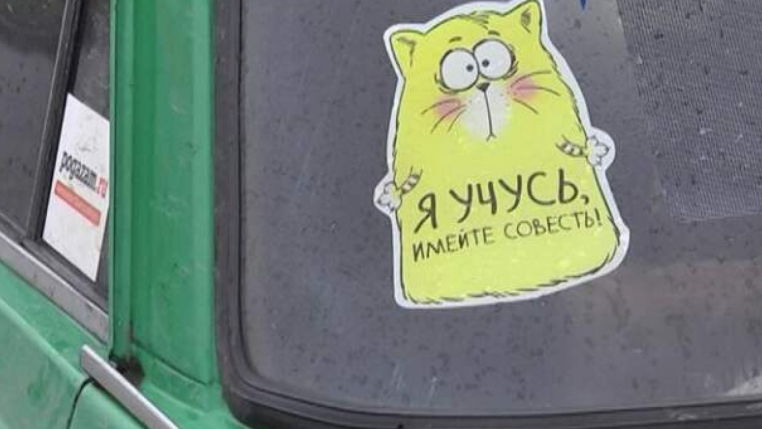 Машина для начинающего водителя: Какую первую машину купить 🚘 — ТОП-5 лучших авто для новичка