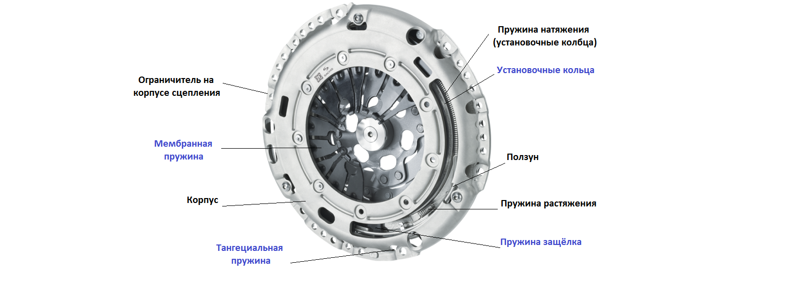 Мокрое сухое сцепление. Фрикционное мокрое сцепление. Сухое сцепление и мокрое сцепление. Сцепление мокрого типа. Типы пружин сцепления.