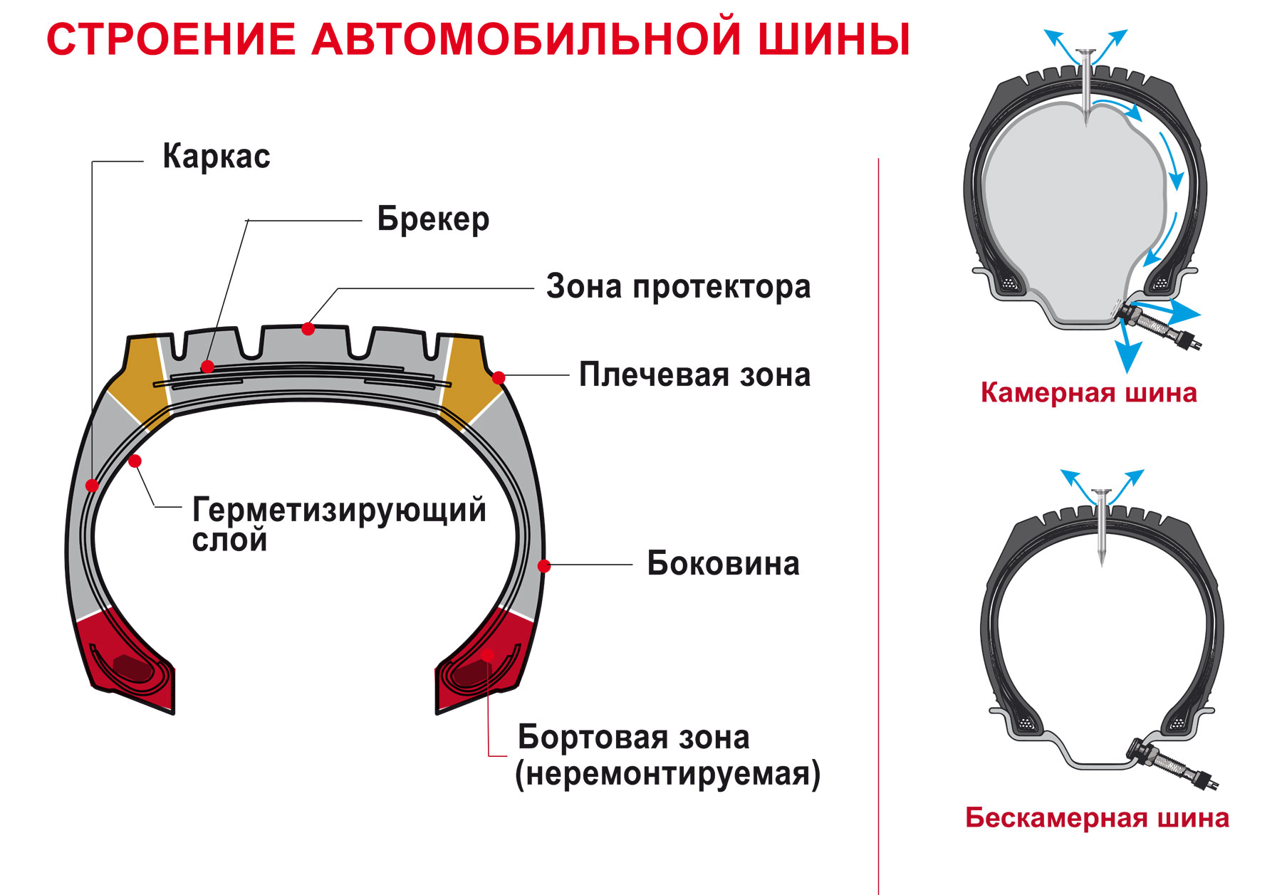 Что лучше камерная или бескамерная шина: Как определить камерная или бескамерная шина?