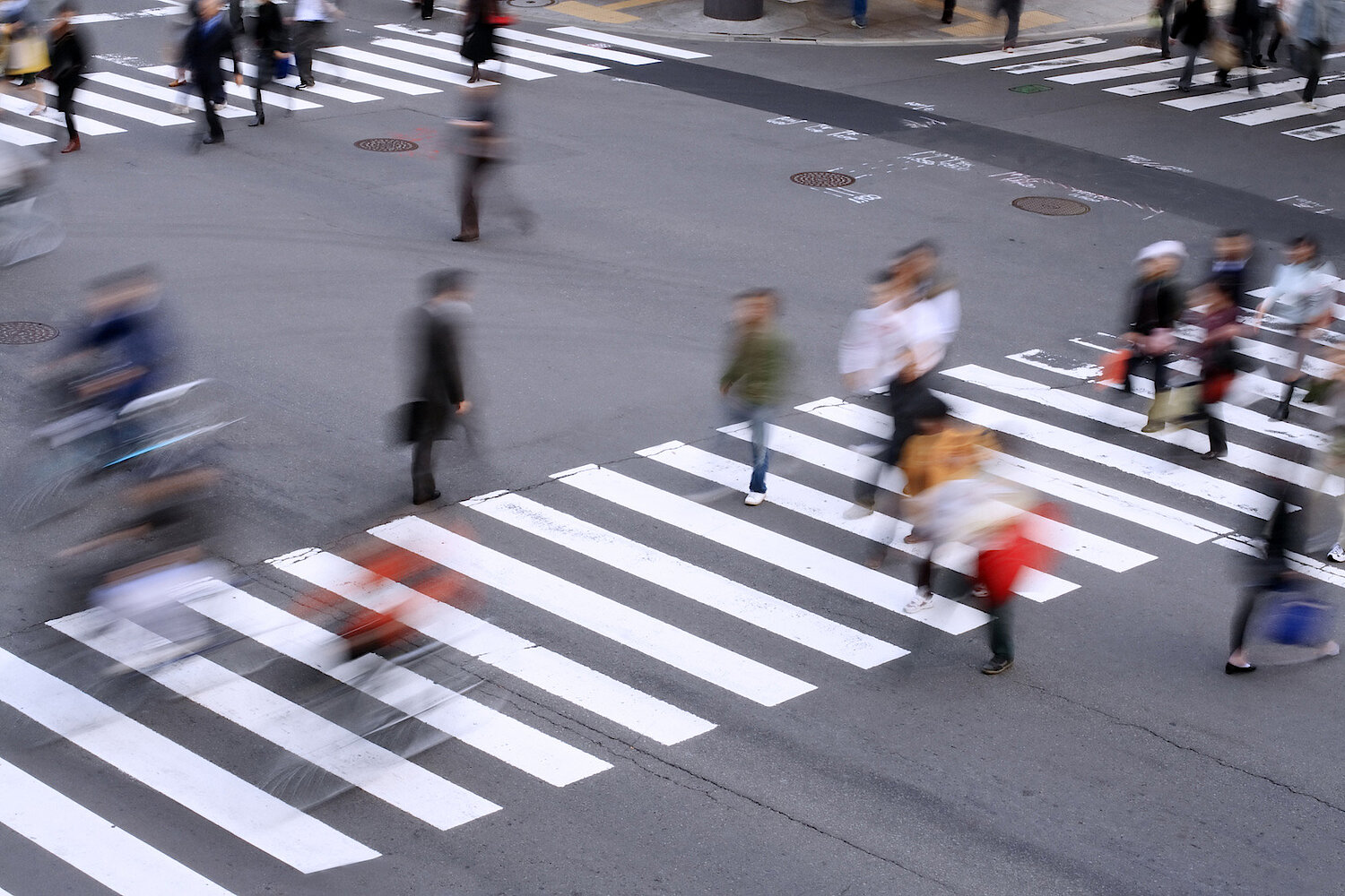 Зебра пешеходная: Почему пешеходный переход называют зеброй? | Пробки/дороги | Авто