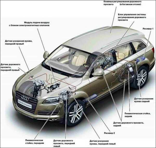Что такое пневма на машине – Что такое пневмоподвеска в машине и для чего она нужна