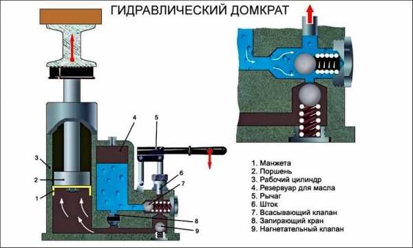 Домкрат какой выбрать – как выбрать, плюсы и минусы