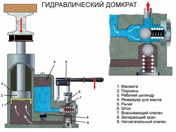 Домкраты виды – Домкрат. Виды, назначение, характеристики и выбор