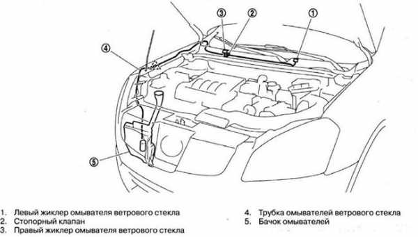 Форсунки омывателя лобового – Веерные форсунки омывателя лобового стекла, плюс подогрев бачка омывателя. — DRIVE2