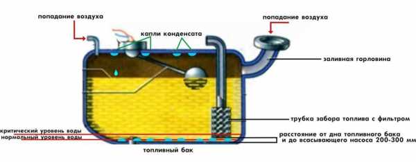 Из выхлопной трубы капает вода – почему капает из выхлопной трубы, как убрать » АвтоНоватор