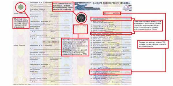 Как проверить дубликат птс на подлинность – Все способы проверки ПТС на подлинность