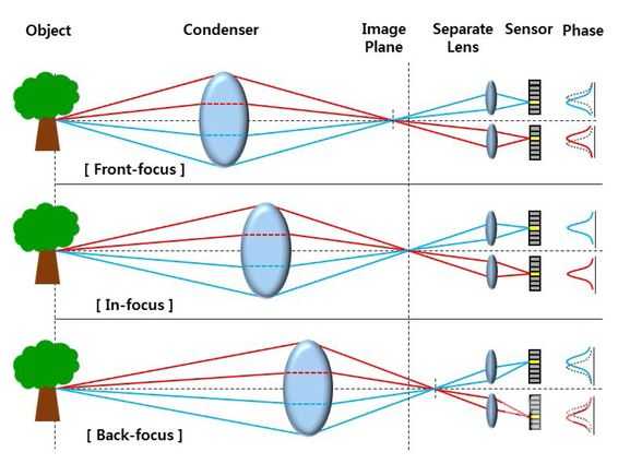 Как работают камеры – IP и аналоговых. Структурная схема, плюсы и минусы, популярные марки