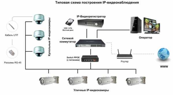 Как работают камеры – IP и аналоговых. Структурная схема, плюсы и минусы, популярные марки