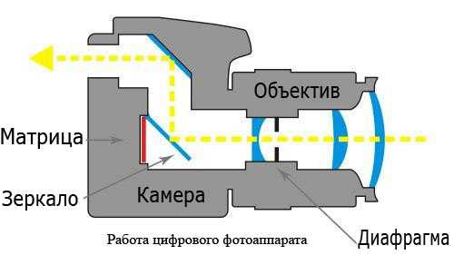 Как работают камеры – IP и аналоговых. Структурная схема, плюсы и минусы, популярные марки