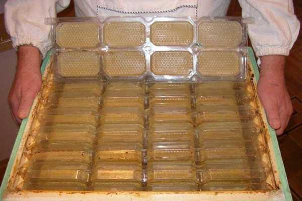 Рамки для сотового меда своими руками – Как сделать минирамки для сотового мёда своими руками