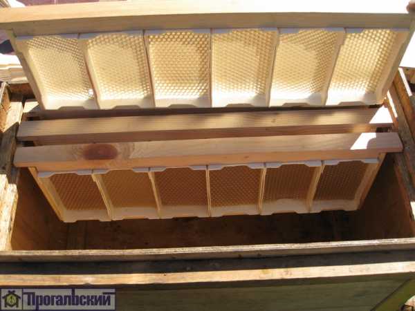 Рамки для сотового меда своими руками – Как сделать минирамки для сотового мёда своими руками