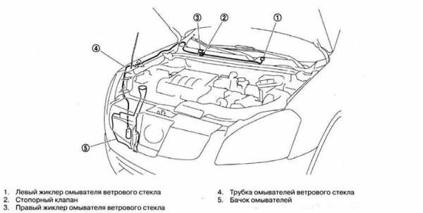 Форсунка омывателя шеви нива