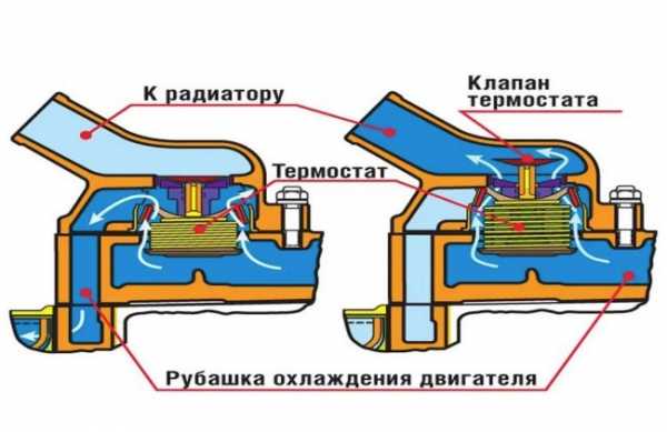 За что отвечает термостат в машине – Автомобильный термостат | Для чего нужен и какие бывают неисправности?